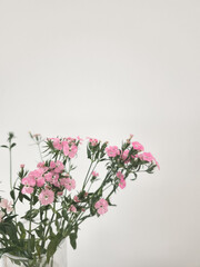 Delicate pink flowers in glass vase display copy space Mothers day