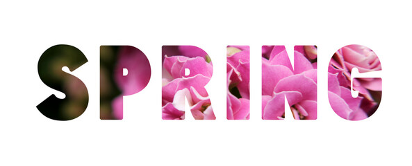 Spring text with pink flower letters