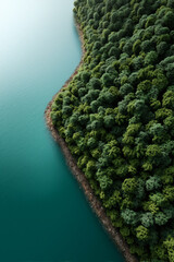 Fototapeta premium Aerial view of a forest bordering a clear, turquoise lake. Serene natural landscape.
