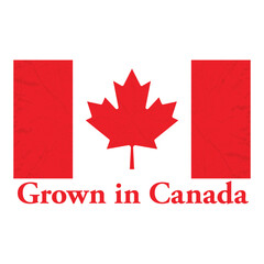 Grown in Canada price tag label for produce. Canadian product sticker commerce business. Badge or seal symbol in red and white. Emblem as certificate of manufacturing timber on Canadian soil. Vector.