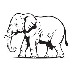 Black and White Hand-Drawn Illustration of a Walking Elephant in Profile View silhuetee vector
