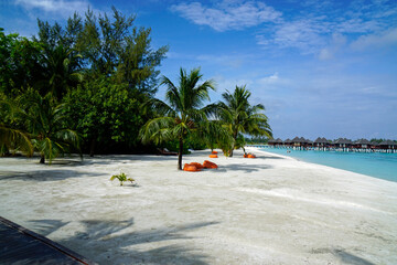 exotic tropical island on the maldives
