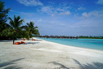 exotic tropical island on the maldives