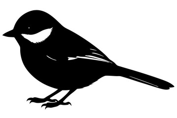 crow on a branch