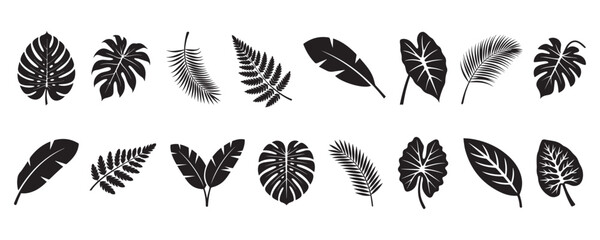 Tropical leaves silhouette collection, palm leaf, banana leaf, and artistic black shapes vector set for nature design, creative embellishments, decorative elements, and botanical illustration