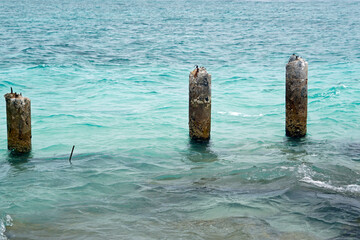 Fototapeta premium rotten jetty on gulhi island on the maledives
