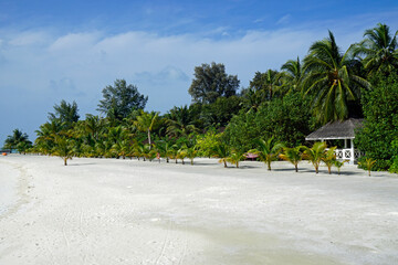 exotic tropical island on the maldives