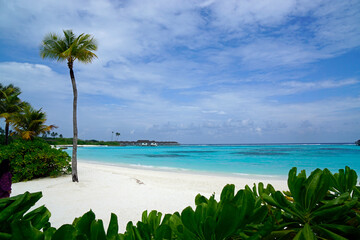 exotic tropical island on the maldives