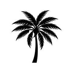 Palm Tree Silhouette vector illustration
