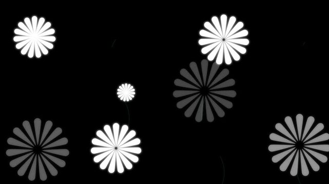 Circles fireworks magical explosive offering stunning visual introduction video projects daily motion Animated sequence featuring  transforming...