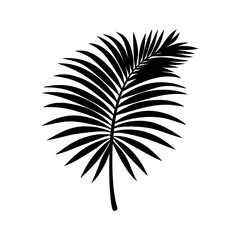 Obraz premium Palm Leaf Silhouette vector illustration