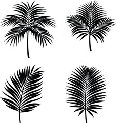 Obraz premium Palm Leaf Silhouette vector illustration
