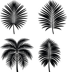 Obraz premium Palm Leaf Silhouette vector illustration