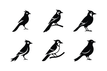 set of silhouettes of joy birds