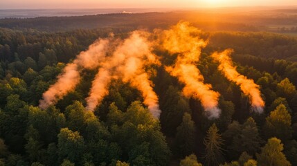 Fototapeta premium Aerial view of a forest at sunrise, with orange hued mist rising from the trees. Warm sunlight illuminates the scene.