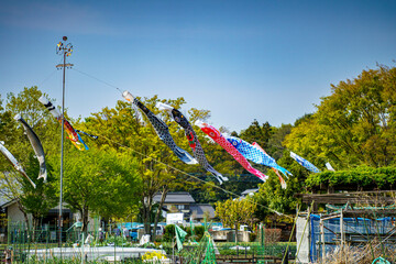 風に泳ぐ鯉のぼりのある風景