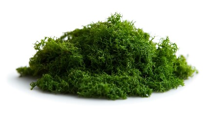 Fototapeta premium A mound of vibrant green decorative moss.