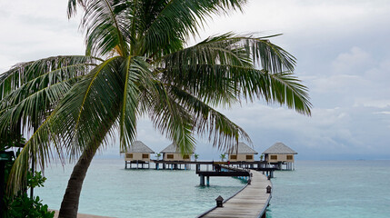 Fototapeta na wymiar water villas on a exotic maldives island