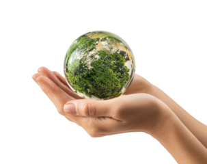 Hands hold a glass globe depicting lush greenery and earth's nature reaching towards sustainable future goals on a transparent background, cut out