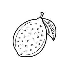 Black and white illustration of a lemon with a leaf, isolated on white background