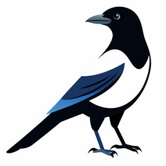 Fototapeta premium Magpie-isolated-on-white-background 