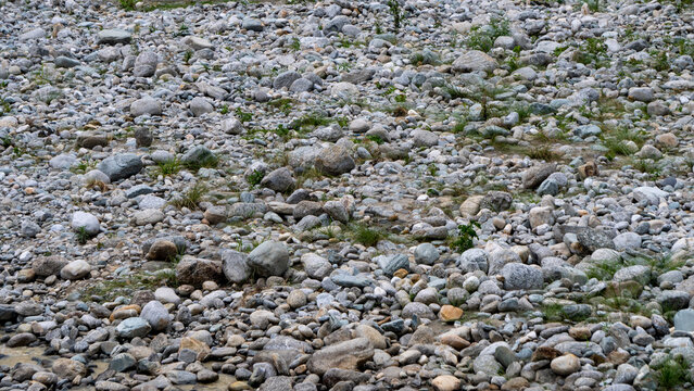 Rocky riverbed during the spring season at Bhairabkunda Udalguri Assam