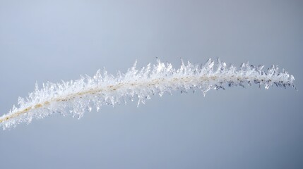 Obraz premium Ice crystals on a blade of grass, a winter wonderland close-up.