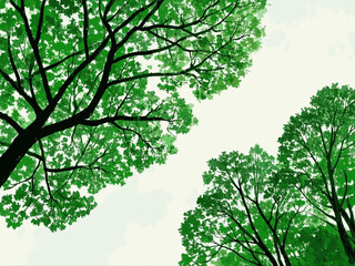 Ethereal grove: watercolor serenity tree isolated watercolor vector illustration svg 