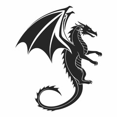 black and white dragon