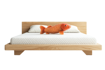 A vibrant orange koi fish rests peacefully on a pristine white mattress a surprising and surreal scene in a minimalist light oak wood bed on transparent background