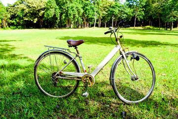 Fototapeta premium Vintage Bicycle in Sunny Green Park with Trees and Blue Sky