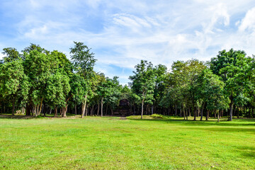 Green forest park with clear sky and ancient ruin in the background

