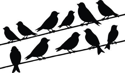 Silhouette illustration of birds sitting on power lines, with one bird in flight, symbolizing freedom, nature, and urban wildlife, perfect for nature, wildlife, and freedom-themed designs.
