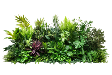 Lush green tropical plants in a wall-mounted garden