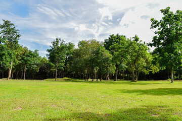 Beautiful morning light in public park with green grass field, Green beautiful park in morning, Garden Landscape With Cloudy sky, Sky and green grass field in city park.