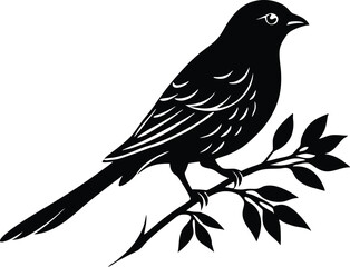  Black silhouette of a single bird perched on a tree branch with leaves, symbolizing nature, peace, and tranquility, perfect for wildlife, nature, and bird-themed designs.