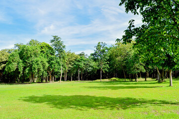 Beautiful morning light in public park with green grass field, Green beautiful park in morning, Garden Landscape With Cloudy sky, Sky and green grass field in city park.