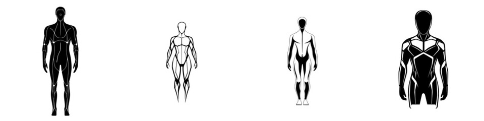 Fototapeta premium Stylized vector illustration of human figures showing different poses and structures in a minimalist design
