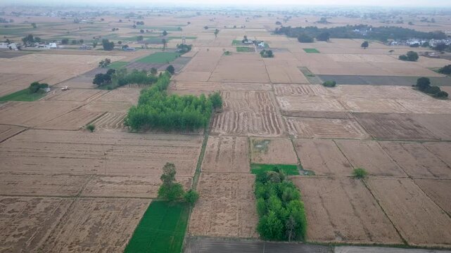 Drone Hyperlapse Revealing Barren Fields in Punjab India

