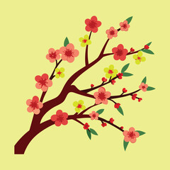Cherry branch flowers  vector.