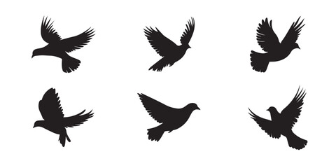 Bird Silhouette Vector Set – Black Bird Clipart Illustrations