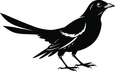 Black and white illustration of three soaring eagles with outstretched wings, symbolizing freedom, power, and nature, perfect for wildlife, bird, and nature-themed designs.