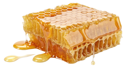 honeycomb with honely liquid isolated on white
