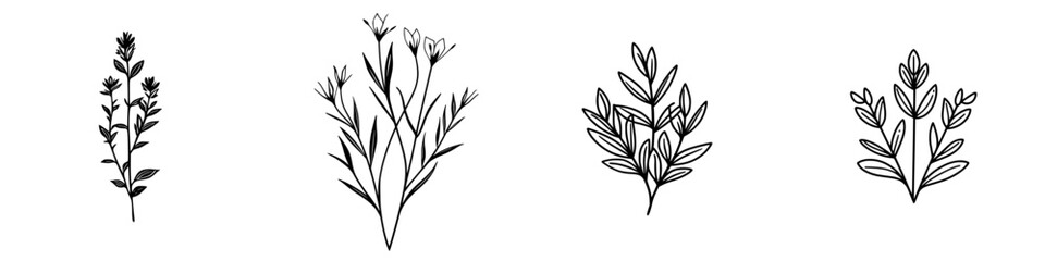 Elegant vector illustrations of various botanical designs featuring delicate flowers and foliage suitable for floral branding and decor