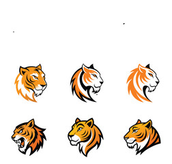 A set of tiger vectors