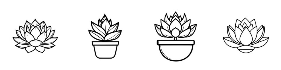 Vector illustration of various succulent plants in decorative pots for contemporary gardening themes