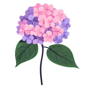 pink purple hydrangea flower stem clip art preview