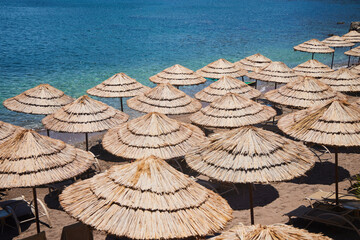 Beach holidays in the tropics or subtropics by the sea or ocean. Tall palm trees.