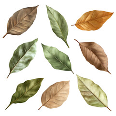 Autumn Leaves Arrangement