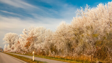Winter landscape with frozen trees on a sunny day near Ettling, Wallersdorf, Dingolfing-Landau, Bavaria, Germany
